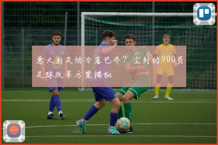 意大利足协冷落巴乔？尘封的900页足球改革方案揭秘