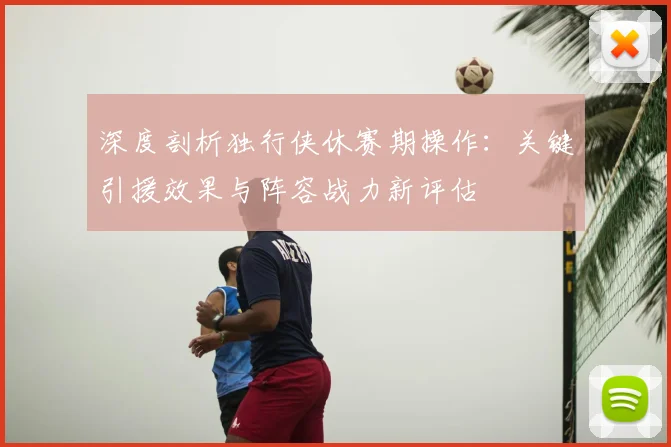 深度剖析独行侠休赛期操作：关键引援效果与阵容战力新评估